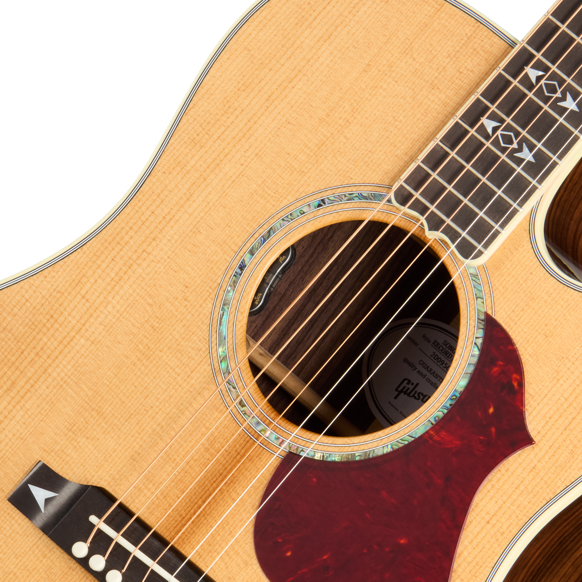 Songwriter Recording Artist EC Antique Natural